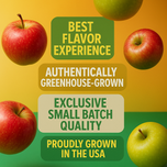 Dizzies Apple Crumble (4g) 10 Premium Infused Pre-Roll Pack