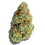 Dizzies Blue Raspberry (4g) 10 Premium Infused Pre-Rolls